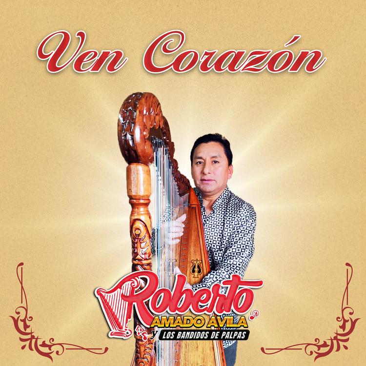 Roberto Amado Avila y Los Bandidos de Palpas's avatar image