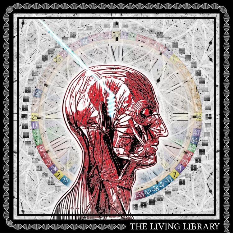 The Living Library's avatar image