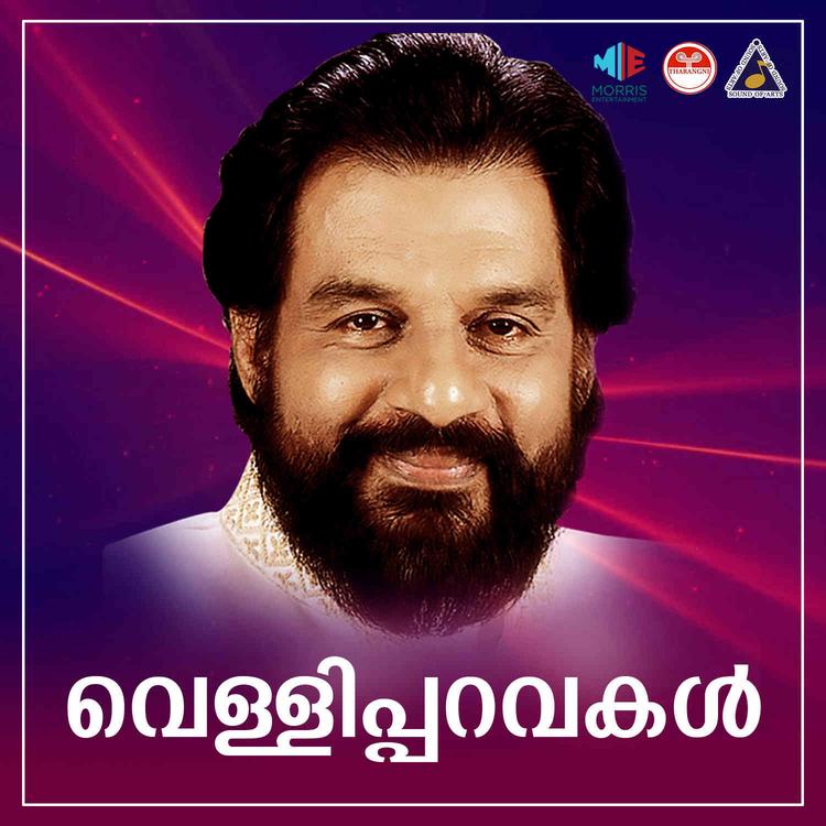 Bichu Thirumala's avatar image