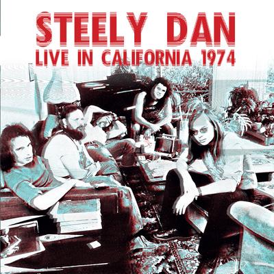 Do It Again By Steely Dan's cover