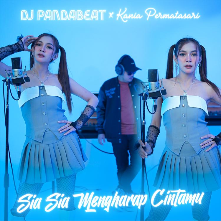 DJ PANDABEAT's avatar image