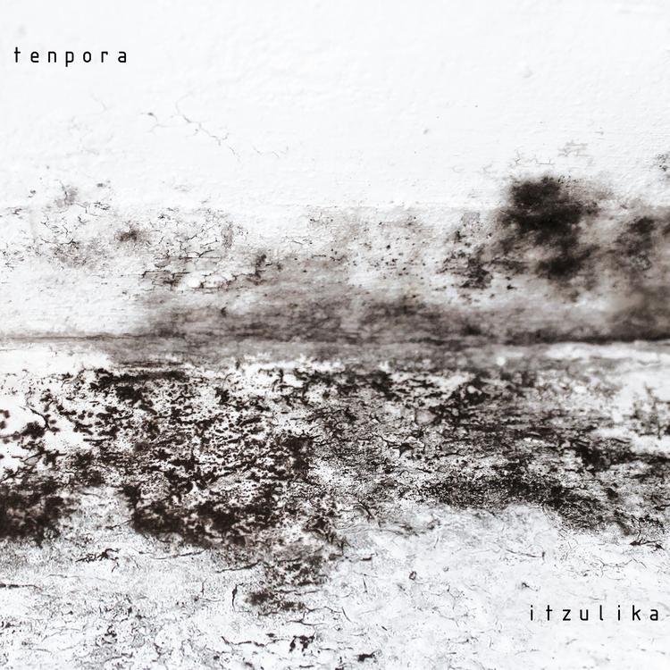 TENPORA's avatar image