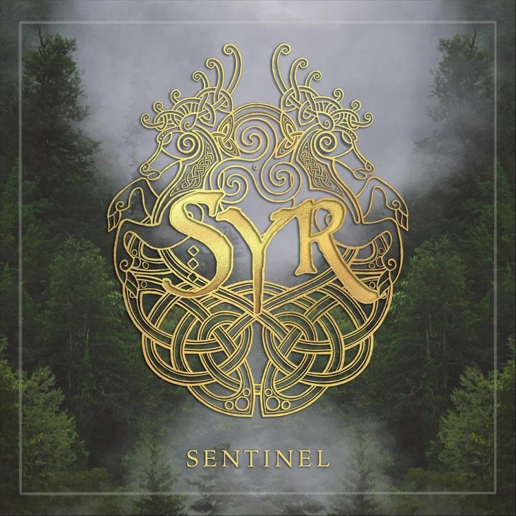 SYR's avatar image