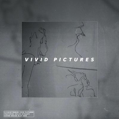 Vivid Pictures's cover