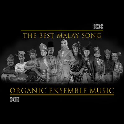 The Best Malay Song's cover