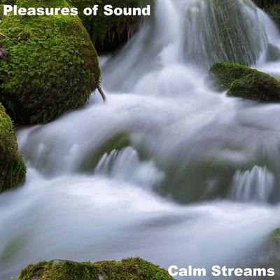 Pleasures of Sound's cover