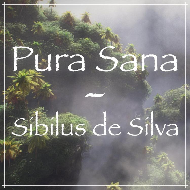 Pura Sana's avatar image