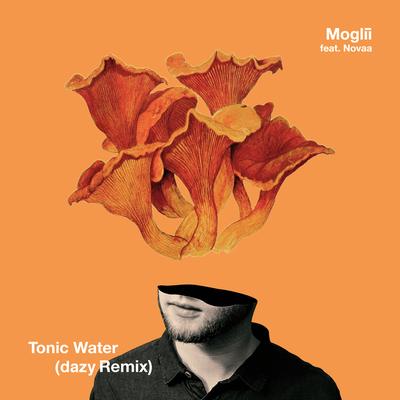 Tonic Water (dazy Remix) By Moglii, Novaa, dazy's cover