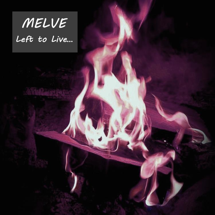 Melve's avatar image
