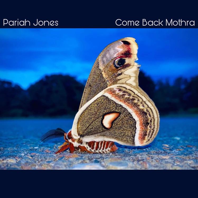 Pariah Jones's avatar image