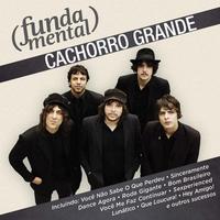 Cachorro Grande's avatar cover