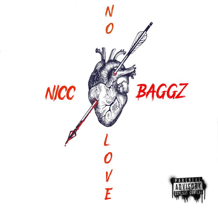 Nicc Baggz's avatar image