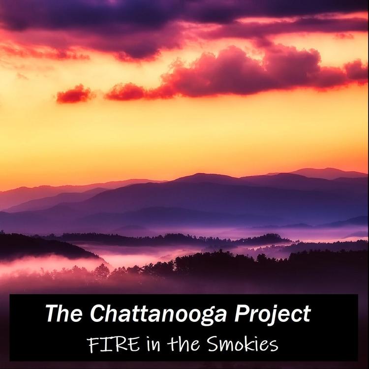 The Chattanooga Project's avatar image