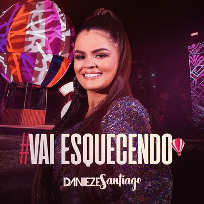 Vai Esquecendo By Danieze Santiago's cover