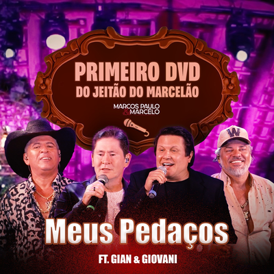 Meus Pedaços (Ao Vivo)'s cover