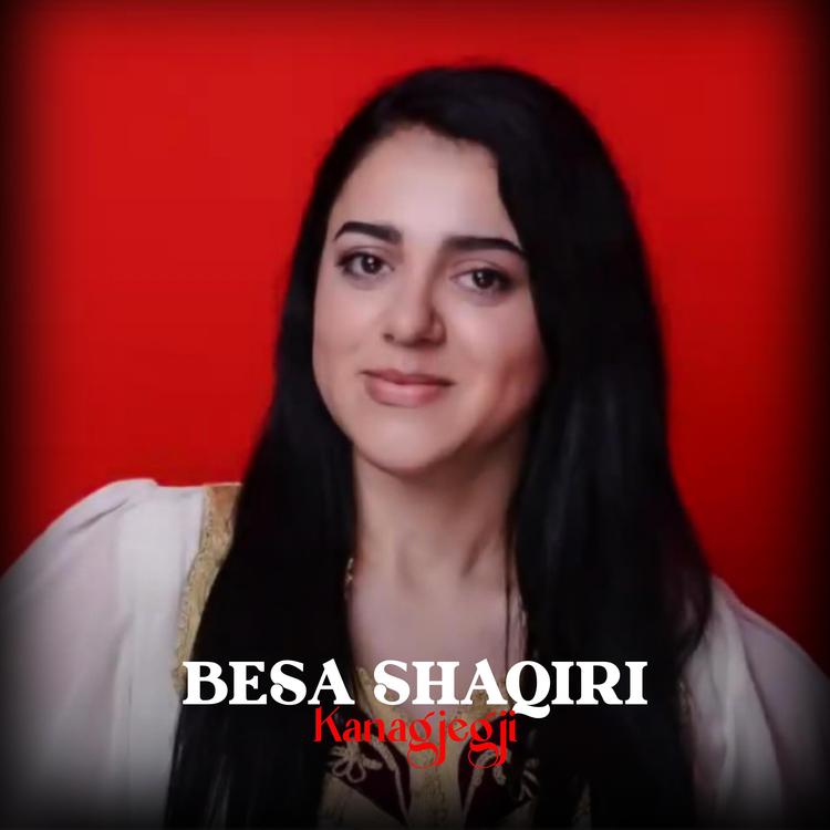 Besa Shaqiri's avatar image