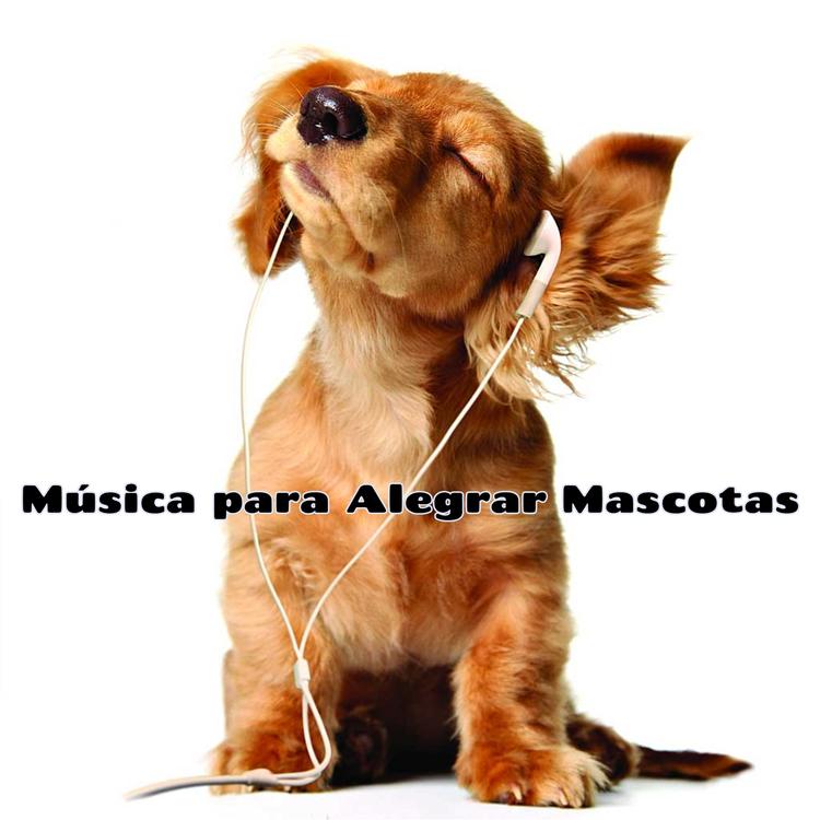 Música Relajante Alegre's avatar image