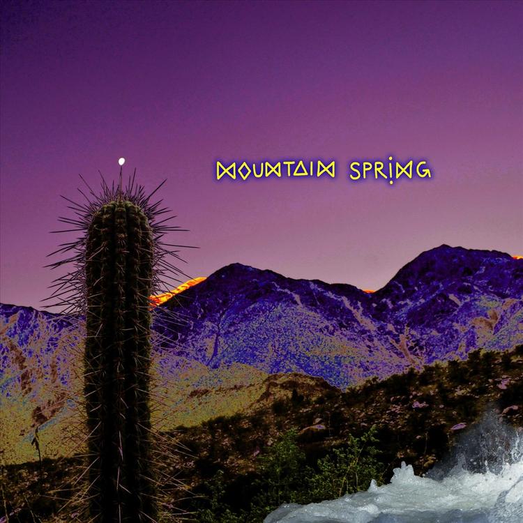 Mountain Spring's avatar image