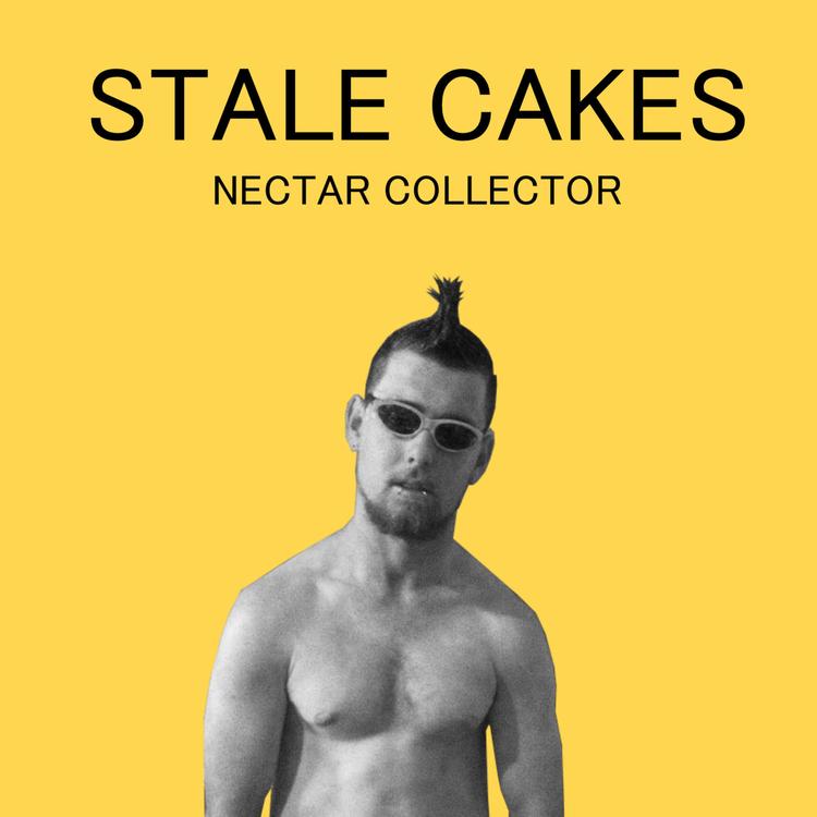 Stale Cakes's avatar image