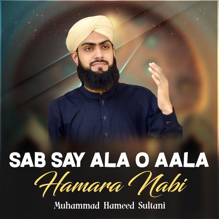 Muhammad Hameed Sultani's avatar image