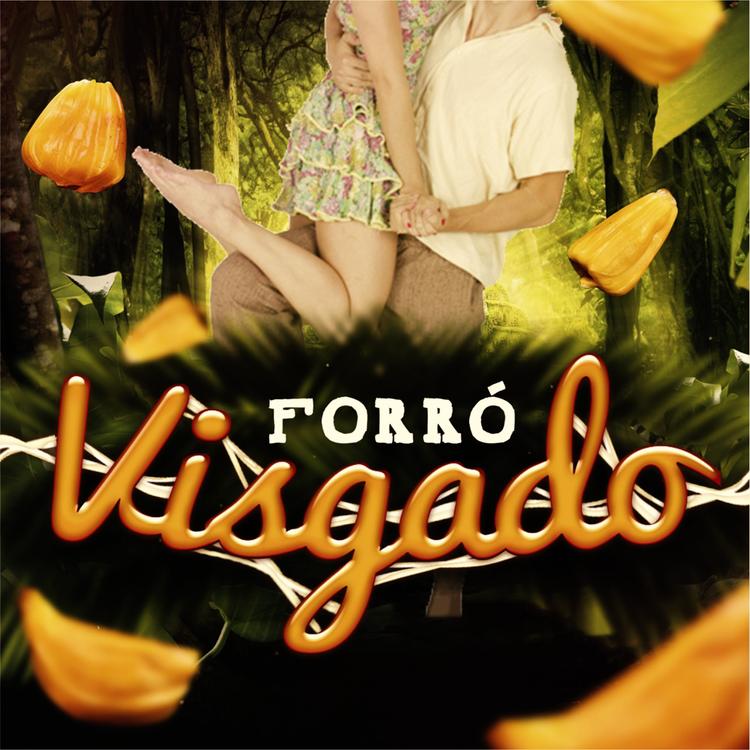 Forró Visgado's avatar image