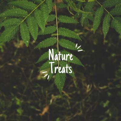 Summmer Forest By Nature Treats's cover