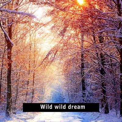 Wild wild dream's cover