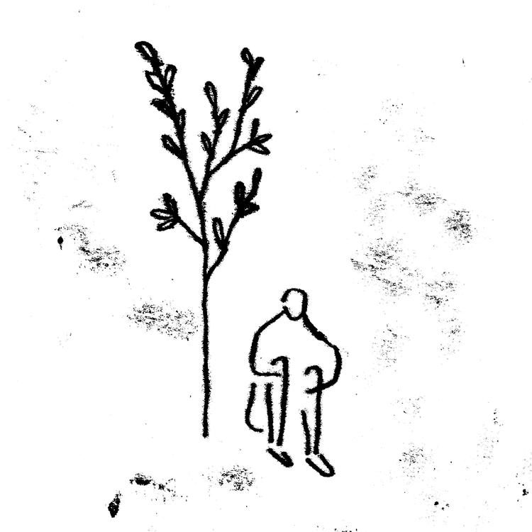 Trio Lumi's avatar image