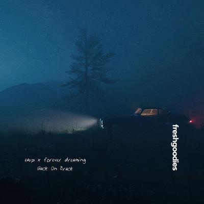 Back On Track By eaup, forever dreaming's cover