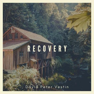 David Peter Vestin's cover