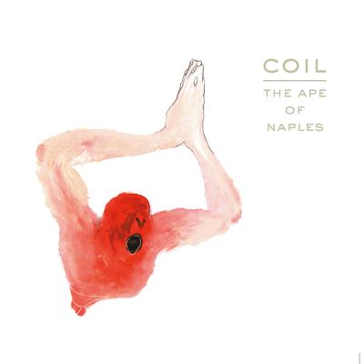 The Last Amethyst Deceiver (Remastered) By Coil's cover