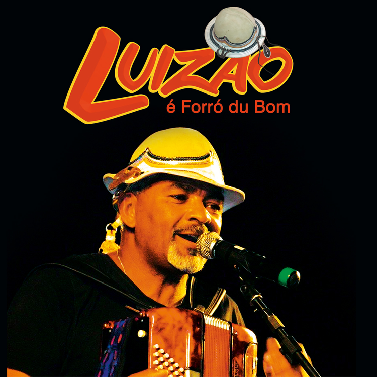 Luizão Do Forró's avatar image