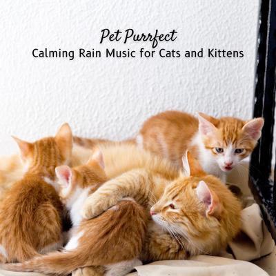 Pet Purrfect: Calming Rain Music for Cats and Kittens's cover