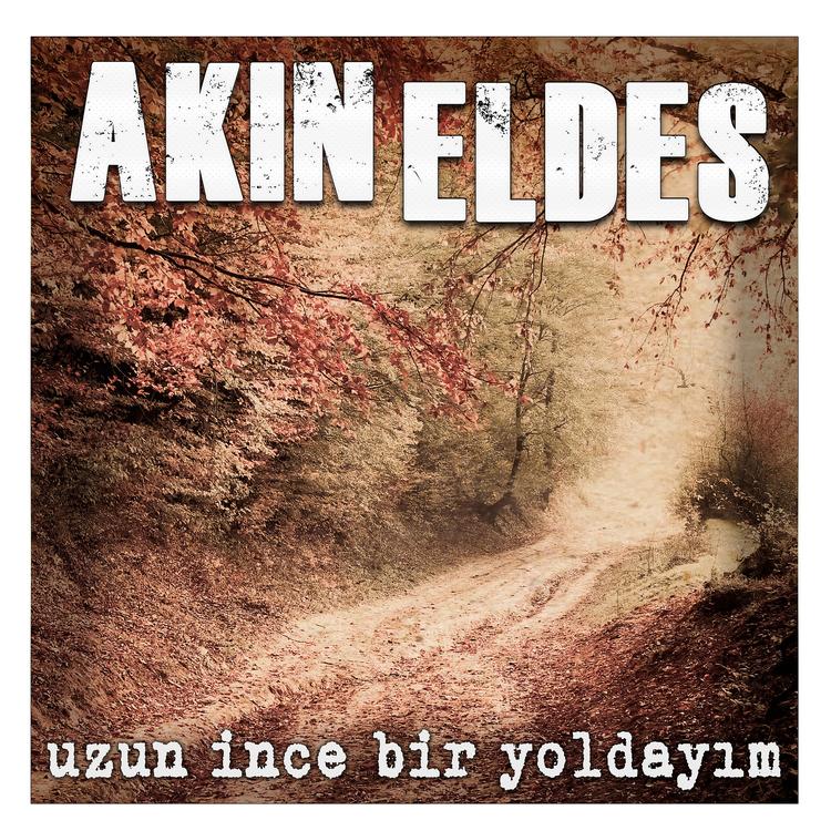 Akın Eldes's avatar image