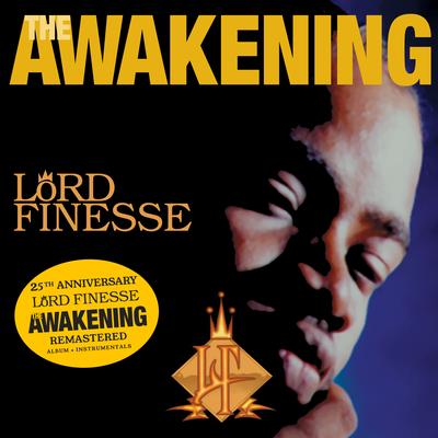 Taking It Lyte (Interlude - Instrumental) By Lord Finesse's cover