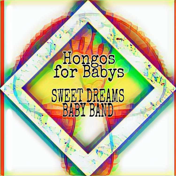 Sweet Dreams Baby Band's avatar image