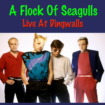 A Flock Of Seagulls Live At Dingwalls's cover