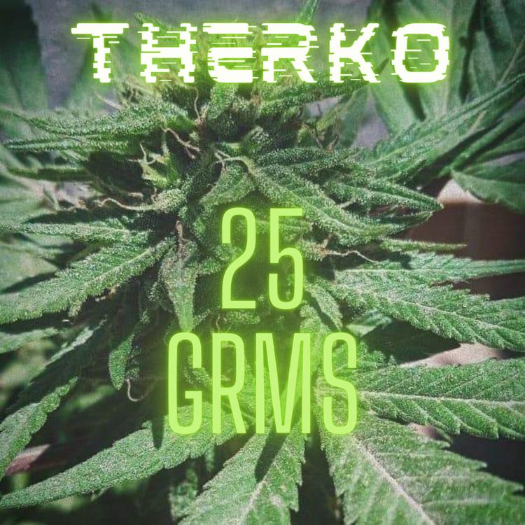 Therko's avatar image