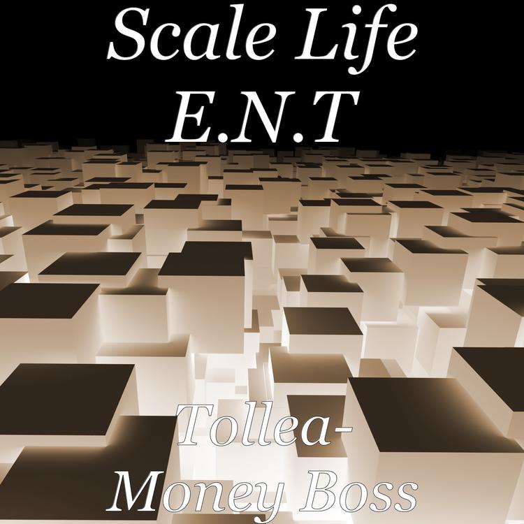 Scale Life E.N.T's avatar image