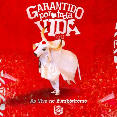 Vendaval de Amor Garantido By Boi Bumba Garantido, Sebastião Júnior's cover