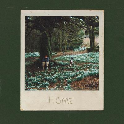Home By Matthew Hall's cover
