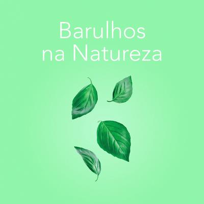 Um Rio na Gruta By Sons da Natureza's cover