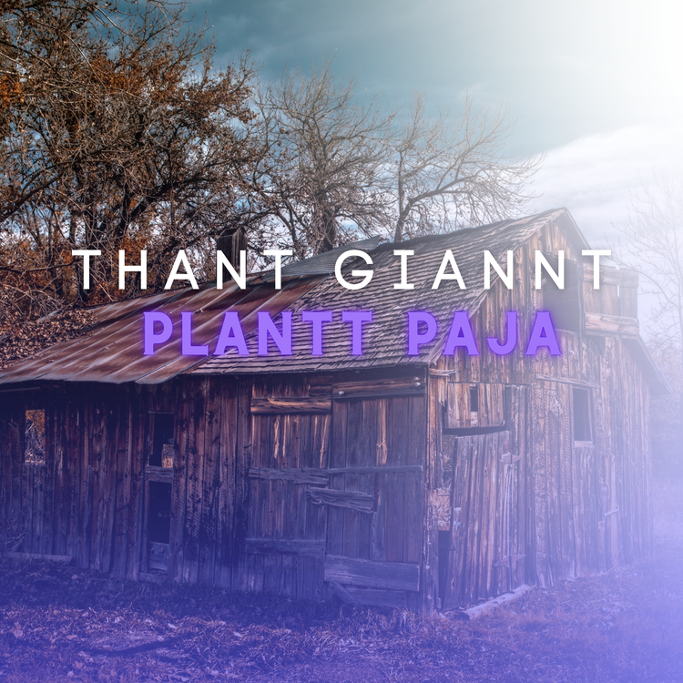 Plantt Paja's avatar image