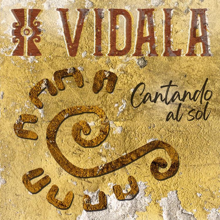 Vidala's avatar image