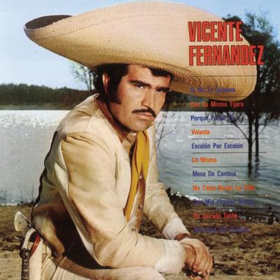 He Llorado Tanto By Vicente Fernández's cover