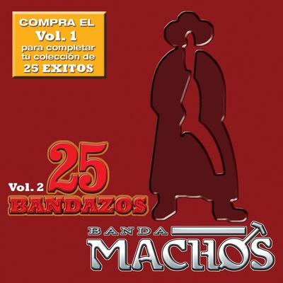 25 Bandazos de Machos (Vol. 2) (USA)'s cover
