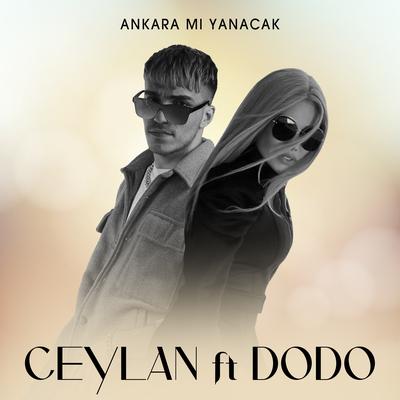 Ankara Mı Yanacak's cover