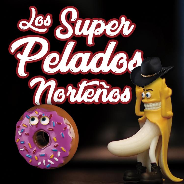 Los Super Pelados Norteños's avatar image