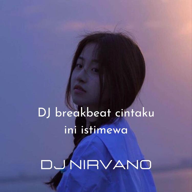 DJ Nirvano's avatar image
