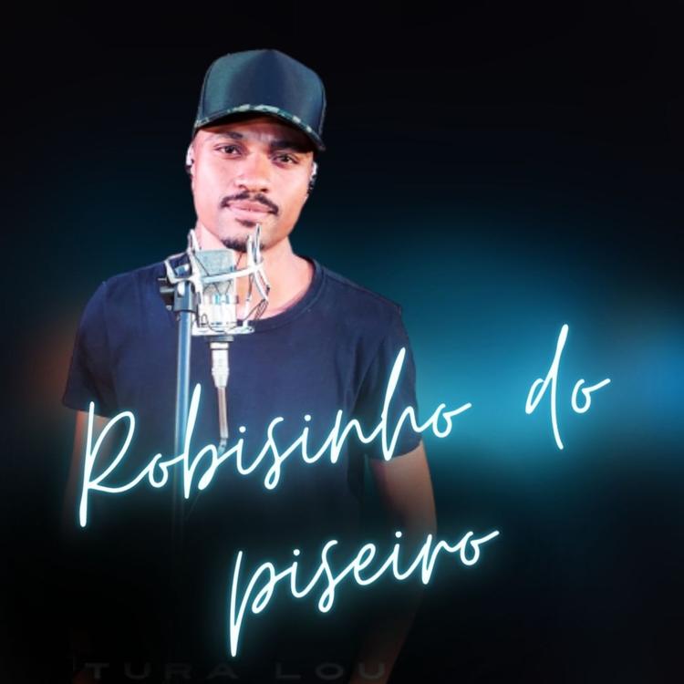 Robisinho Do Piseiro's avatar image